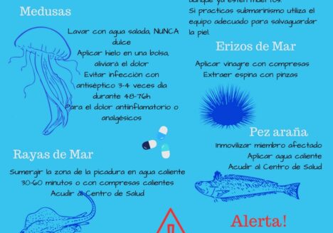 PICADURAS DE ANIMALES MARINOS