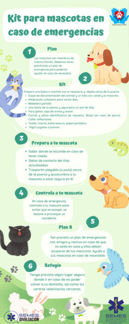 kit-mascotas-infografia